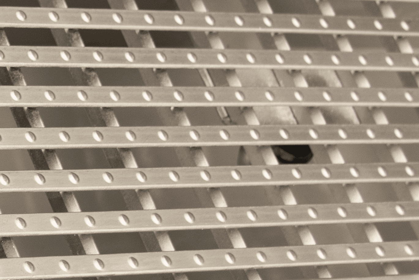 Click Drain Safeline Grate 8